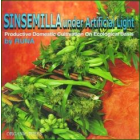 Book „Sinsemilla under Artificial Light“, English Edition