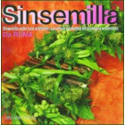Book „Sinsemilla sotto“, Italian Edition