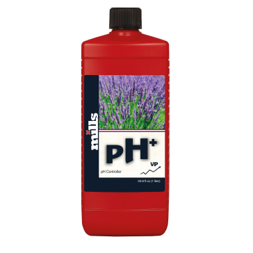 Molinos pH+, 1 L