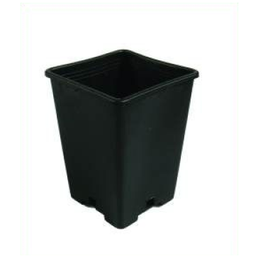 Pot, rectangulaire, 2,4 L, noir, 13 x 13 x 18 cm