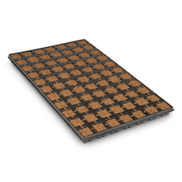 Eazy Plug®, blocs de bouturage, plateau de 77 unités, 53 x 31 x 3 cm, taille de cube 3,5 x 3,5 cm