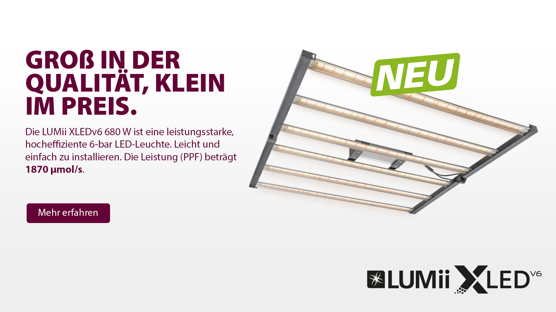 LUMii XLED - GROß IN DER QUALITÄT, KLEIN IM PREIS.